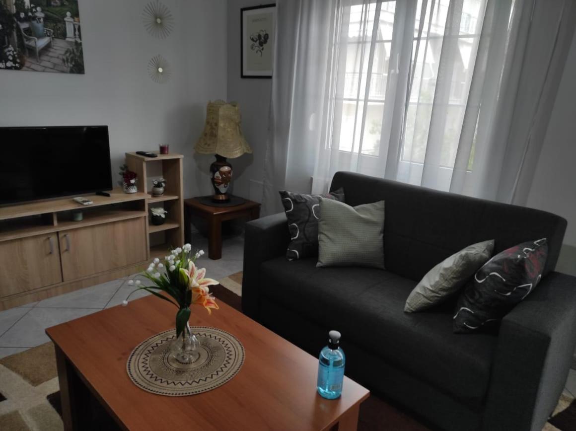 S.T Family Apartement Kalambaka Exteriér fotografie